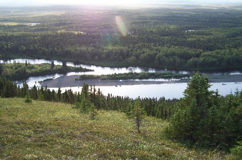 taylor-island taylor-island