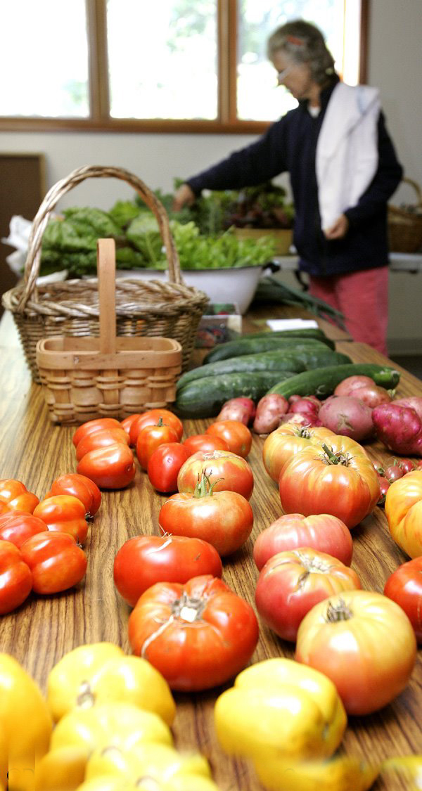 churchgarden1 churchgarden1