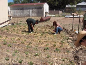 ADAMS CAM 022 ADAMS CAM 022