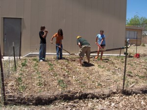 ADAMS CAM 027 ADAMS CAM 027