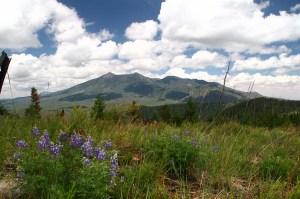 AZ06-Flagstaff-1AUG06-17 AZ06-Flagstaff-1AUG06-17