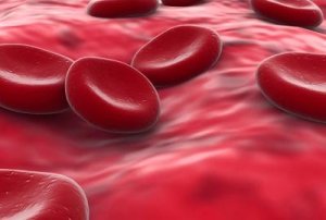 blood cells