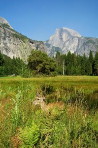 deer-half-dome