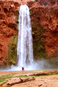 tiny-dad-tash-mooney