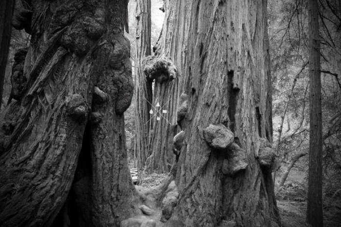 1560550_764955820184008_1723052023_n