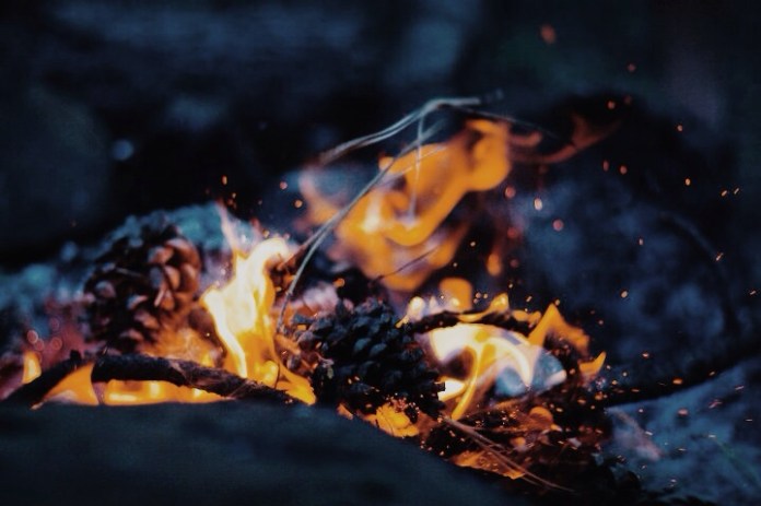 tumblr_n8i81v2MGp1saz9zco1_1280