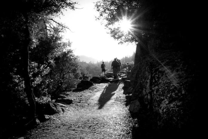 11390255_10207017695781269_5219536675431105575_n