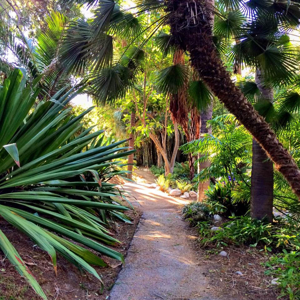 12241437_10208275227898786_9008094746664070077_n