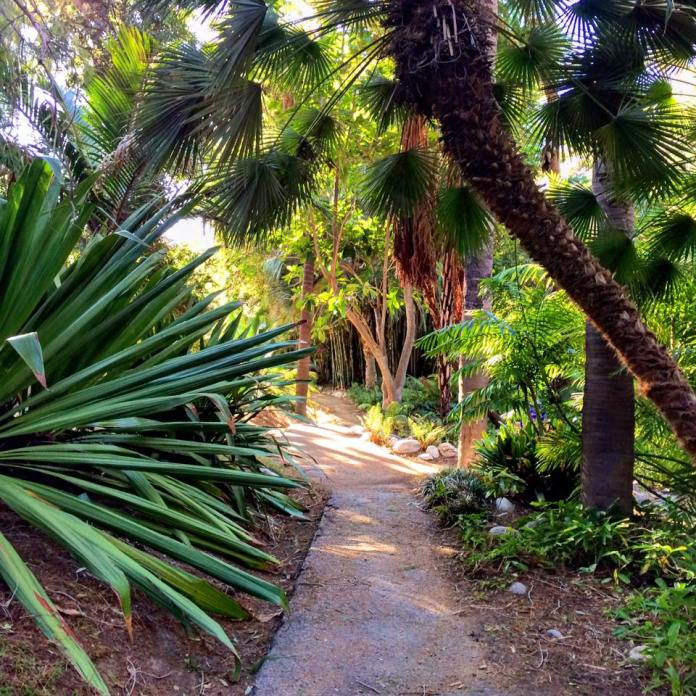 12241437_10208275227898786_9008094746664070077_n