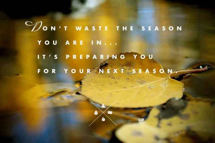 dont-waste-the-season