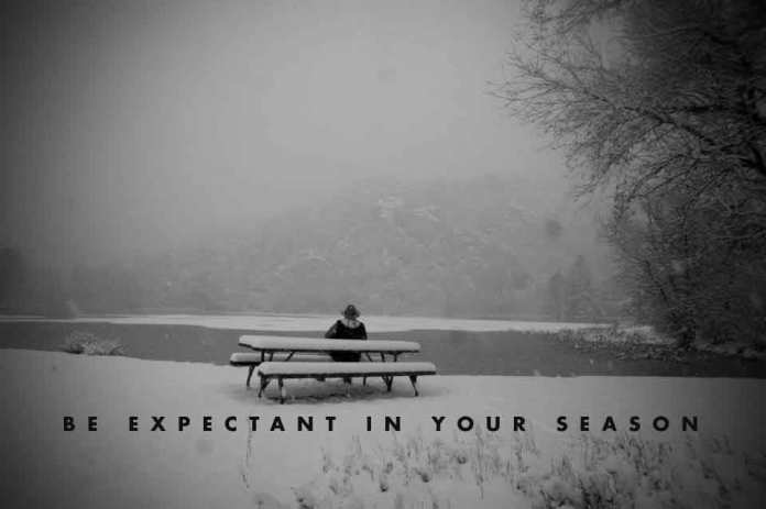 expect