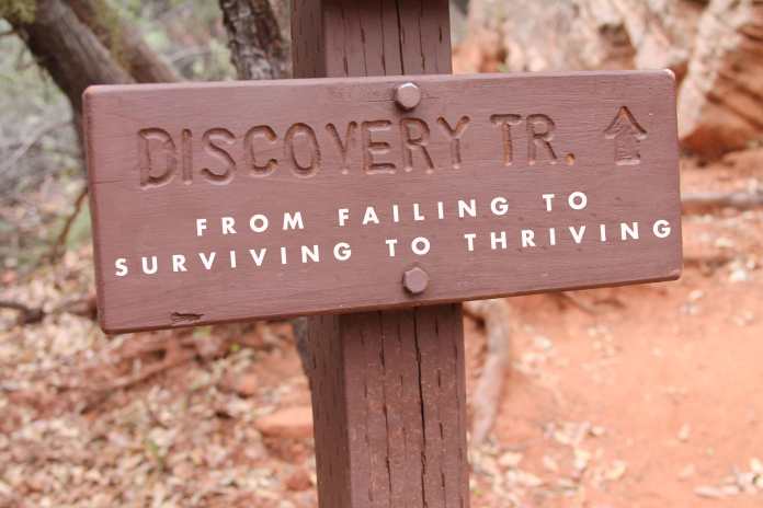 failing-surviving-thriving