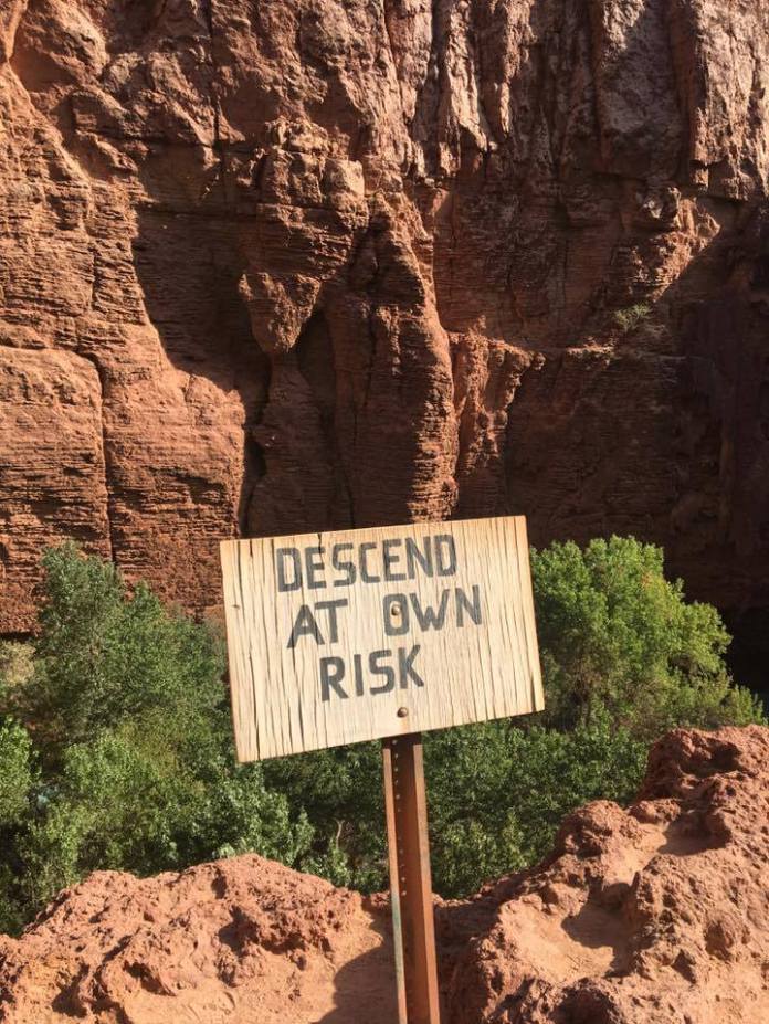 14656435_1375574535788797_5987042719651034064_n