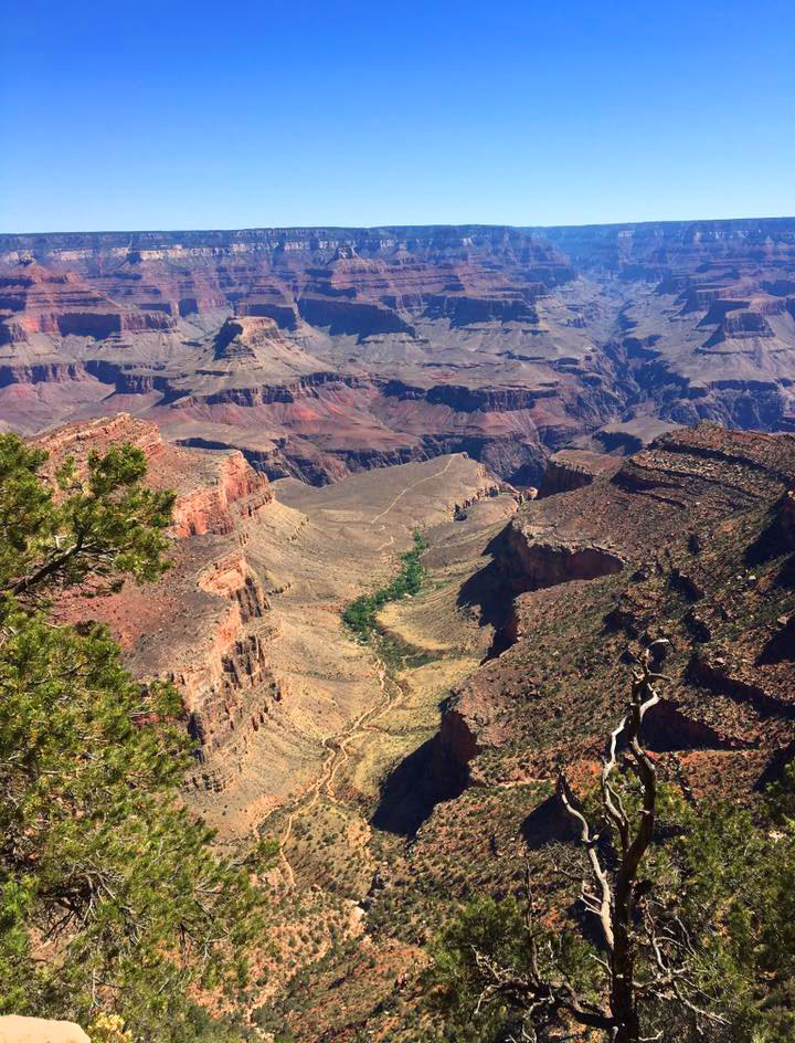 grand-canyon-pic